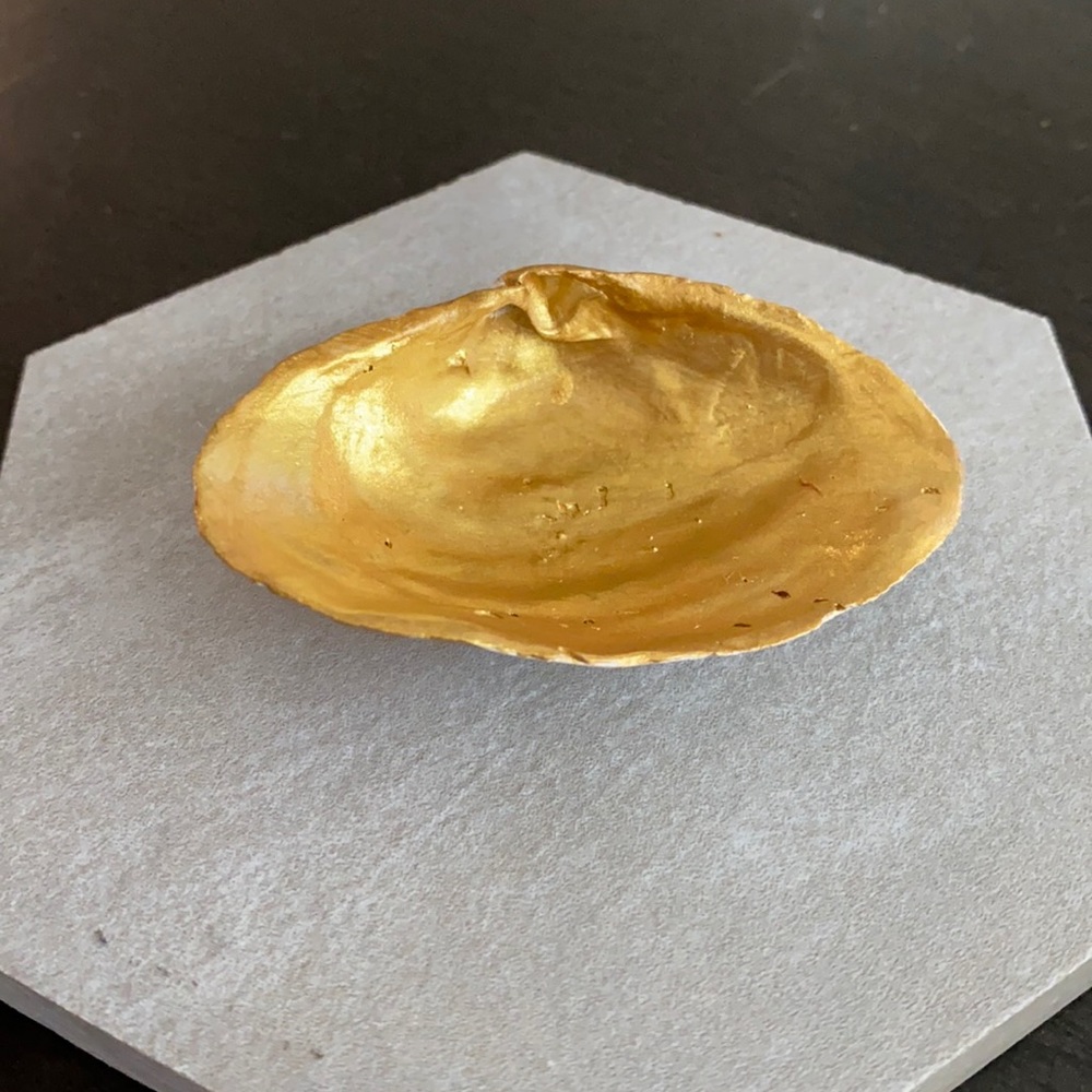Midas of The Sea Oyster Shell